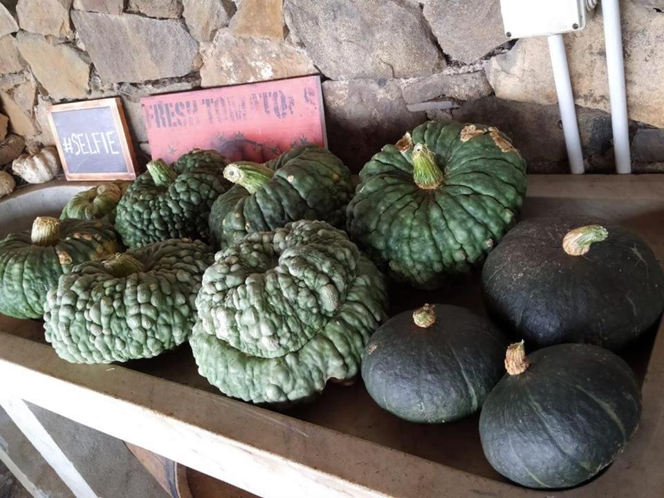 Agriturismo Fattoria Montecontessa Villa Genova Eksteriør billede