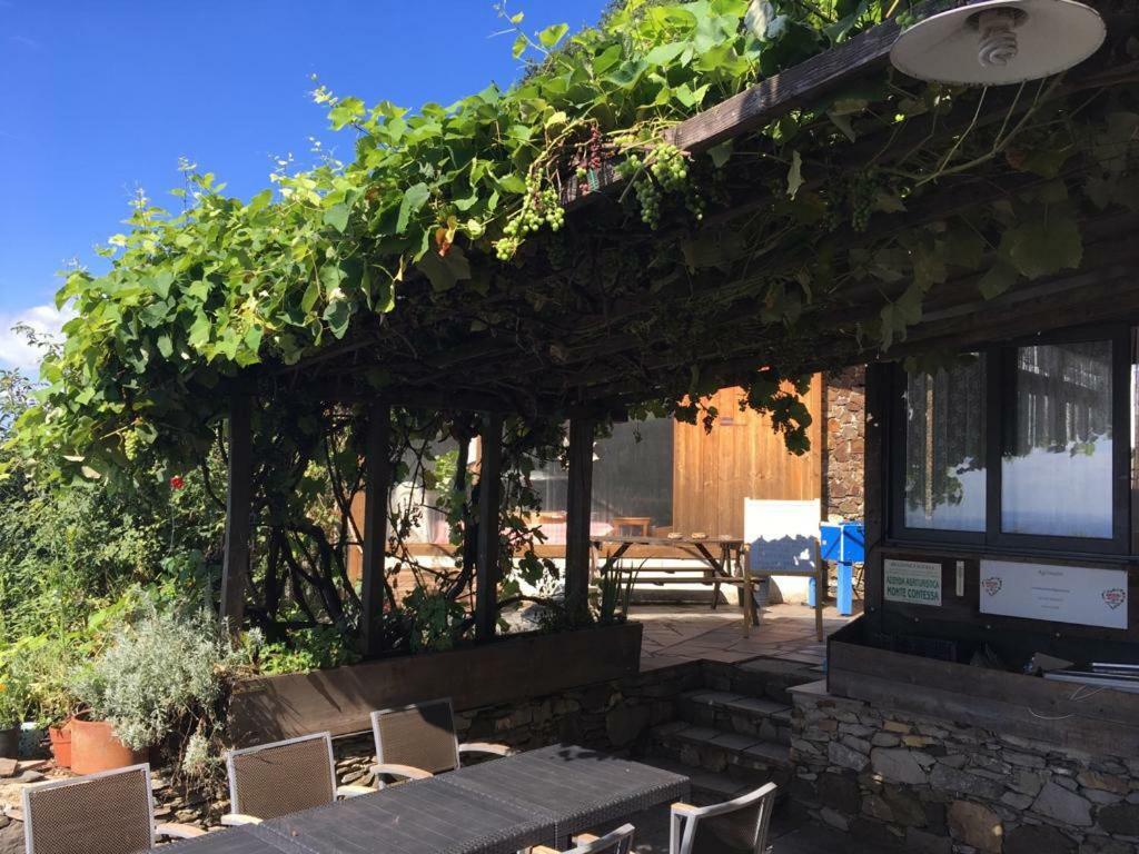Agriturismo Fattoria Montecontessa Villa Genova Eksteriør billede
